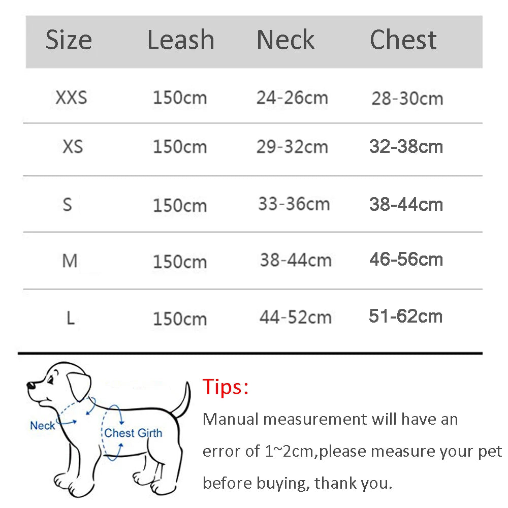 Comfort Fit Harness & Leash Set