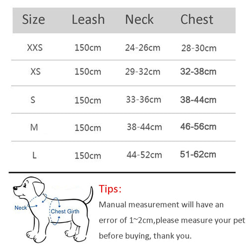 Comfort Fit Harness & Leash Set